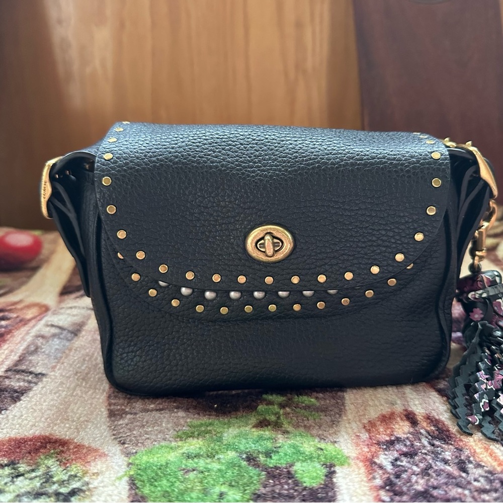 Coach x Tabitha Simmon Crossbody 17 with rivets studded